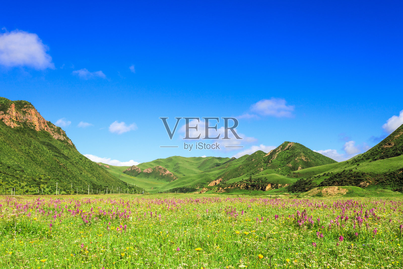 蓝天白云和绿色大草原照片摄影图片