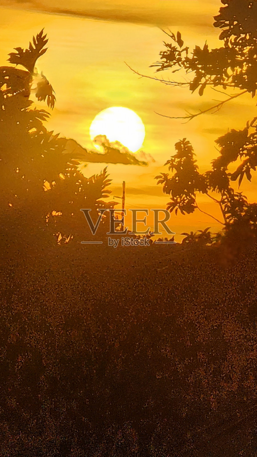 日出照片摄影图片