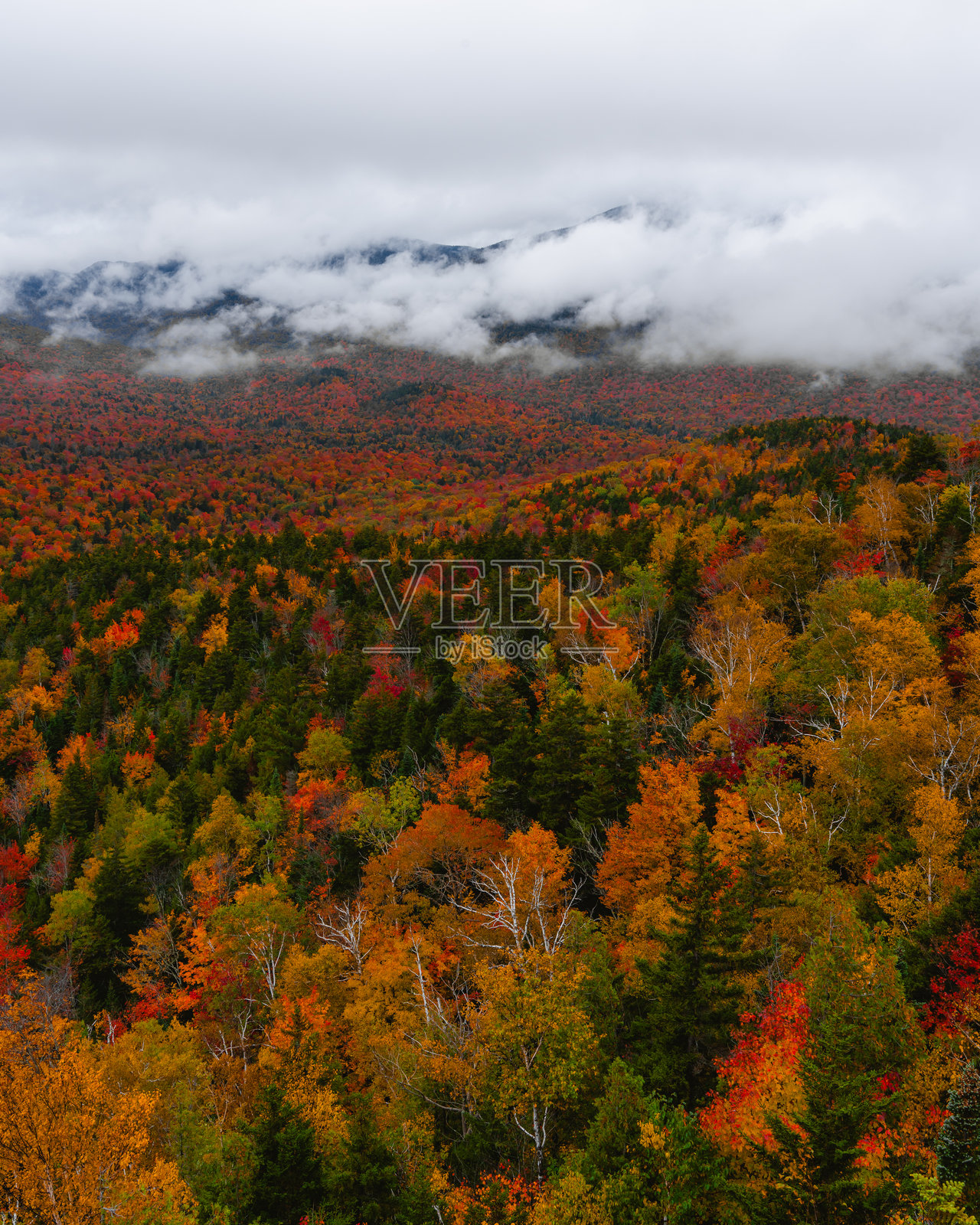 新英格兰秋季美丽的广阔景色。五彩斑斓的森林与远处的山脉、雾气和低云。纽约州北部。照片摄影图片