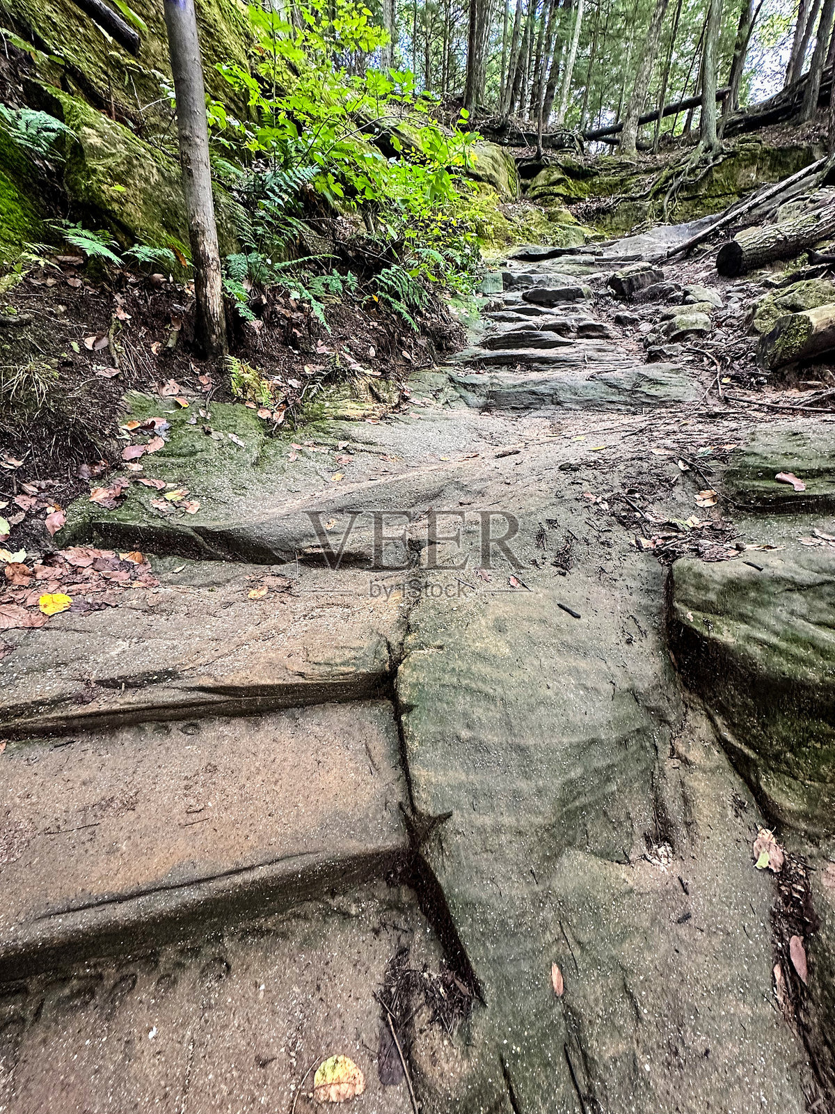 俄亥俄州洛根的霍金山州立公园老人的洞穴小径的风景秀丽景观照片摄影图片