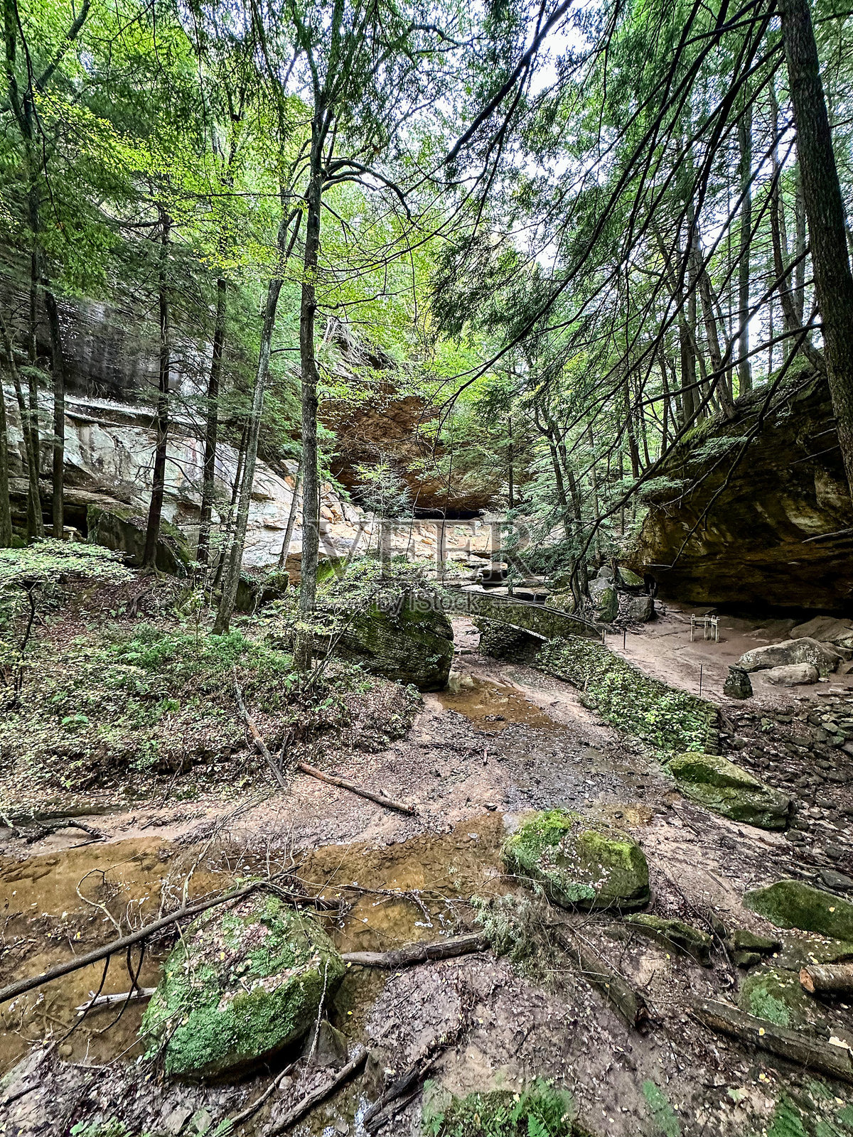 俄亥俄州洛根的霍金山州立公园老人的洞穴小径的风景秀丽景观照片摄影图片