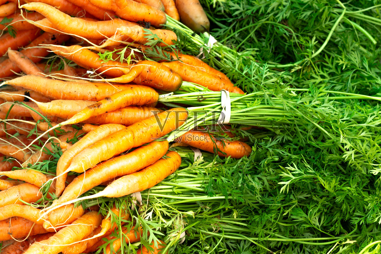 英属哥伦比亚鳟鱼湖农贸市场上的新鲜采摘的有机胡萝卜照片摄影图片