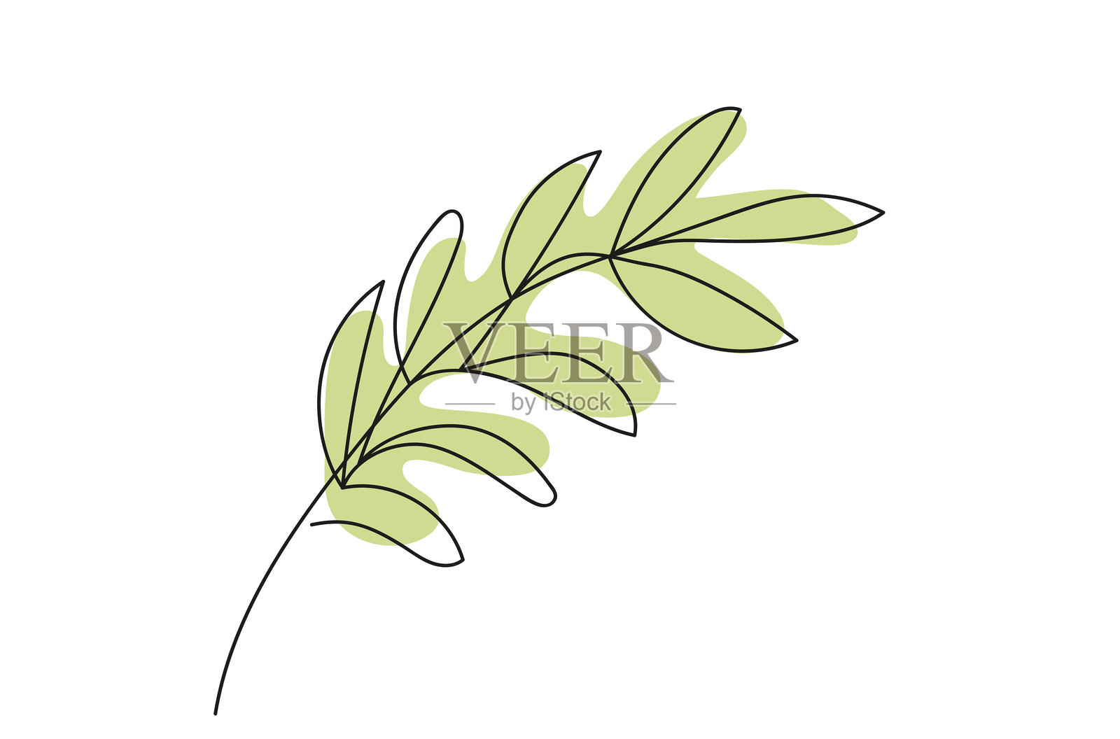 连续一笔画的树枝与叶子，孤立在白色背景上。线条艺术。橄榄枝。简单的绿色叶子插图。植物。和平、自然、有机元素、植物艺术的概念。插画图片素材