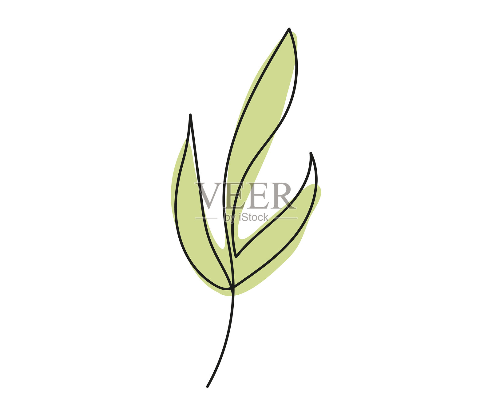 连续一笔画的绿色叶子，孤立在白色背景上。线条艺术。植物，绿意。自然、生态、有机形状、植物艺术、环保装饰的概念。设计元素，印刷。插画图片素材