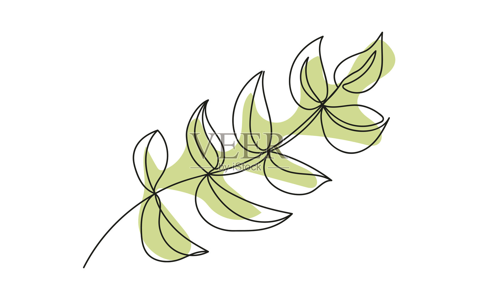 白色背景上的绿色叶子线条艺术。连续一笔画出的带叶子枝条。自然、植物、生态、植物艺术、自然设计、极简风格、有机美学的概念。插画图片素材
