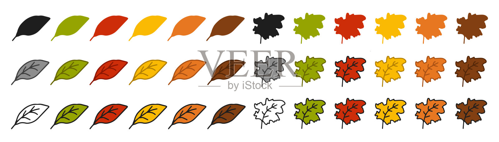 一套大型叶子图标，包含彩色插图、黑色剪影和黑色轮廓版本。背景为白色。自然、秋天、生态、植物和叶子的概念。设计元素。插画图片素材