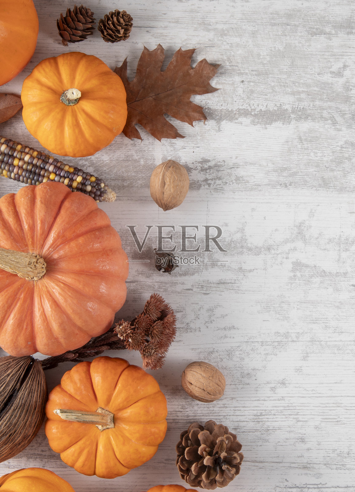 节日南瓜照片摄影图片