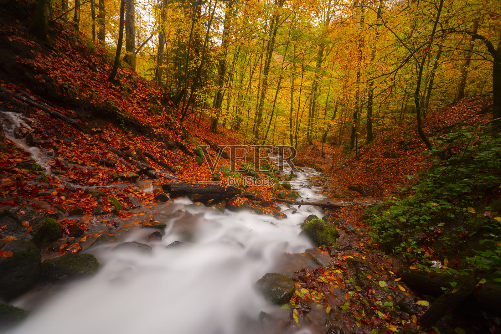 七湖国家公园自然栖息地照片摄影图片