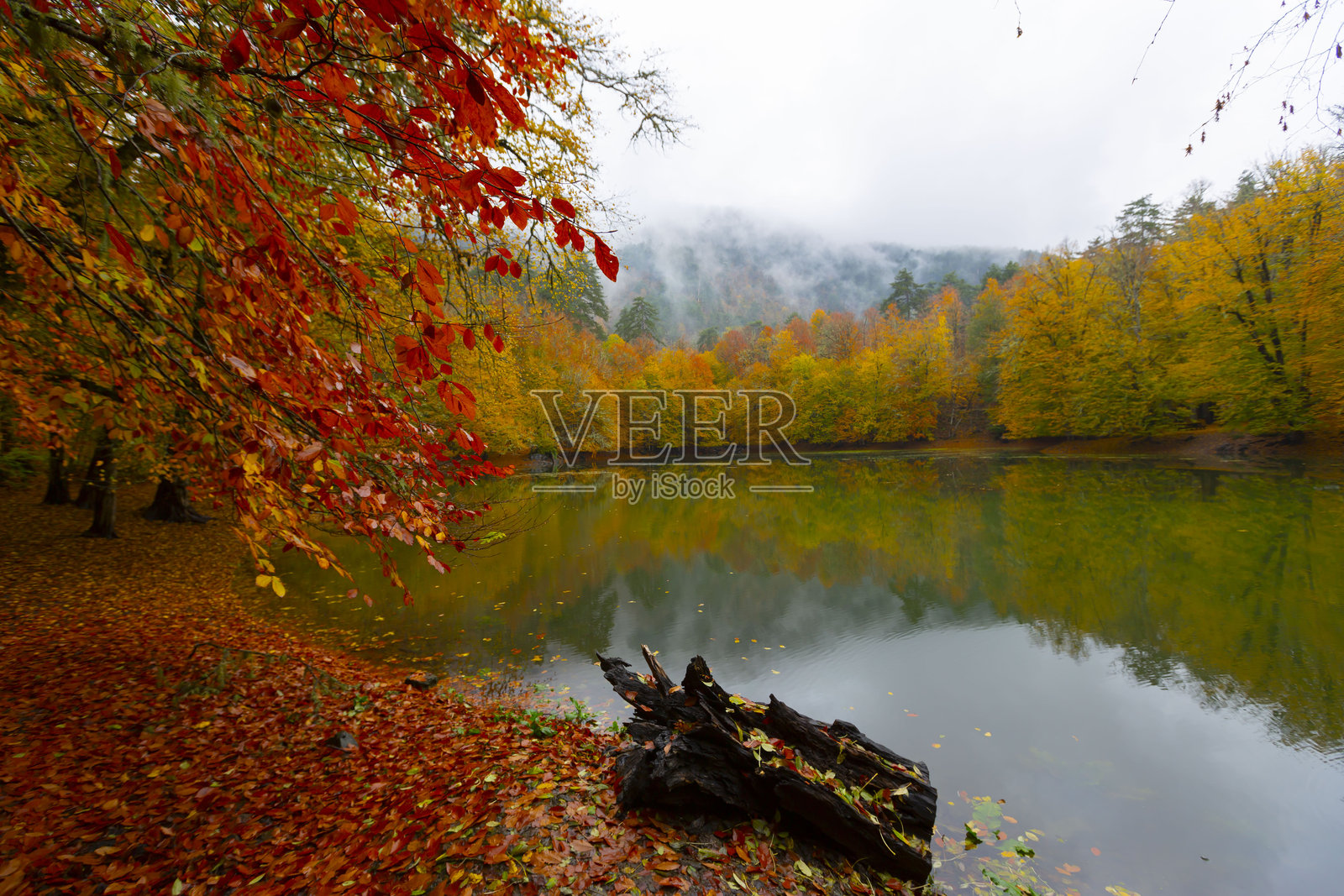 七湖国家公园自然栖息地照片摄影图片