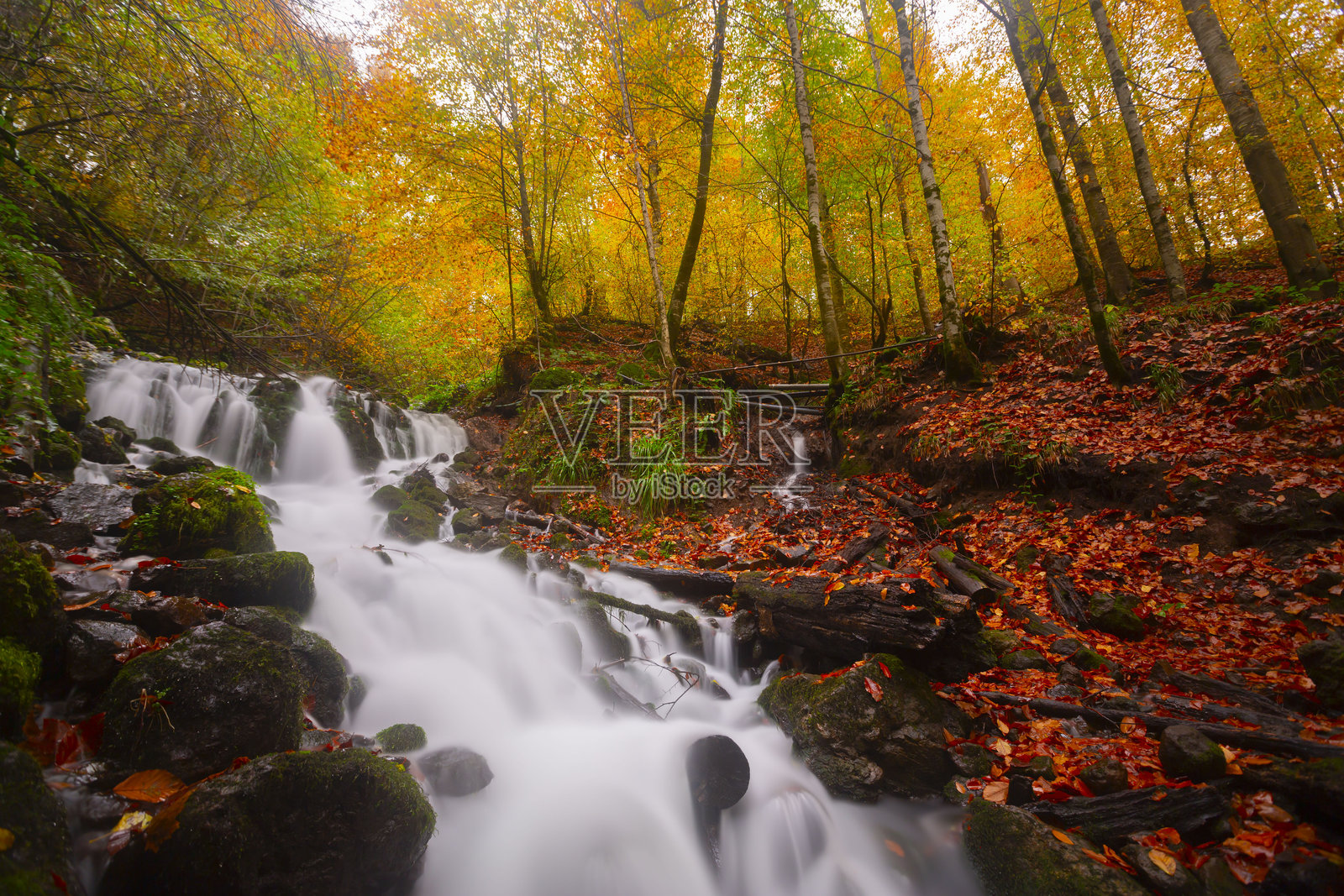 七湖国家公园自然栖息地照片摄影图片