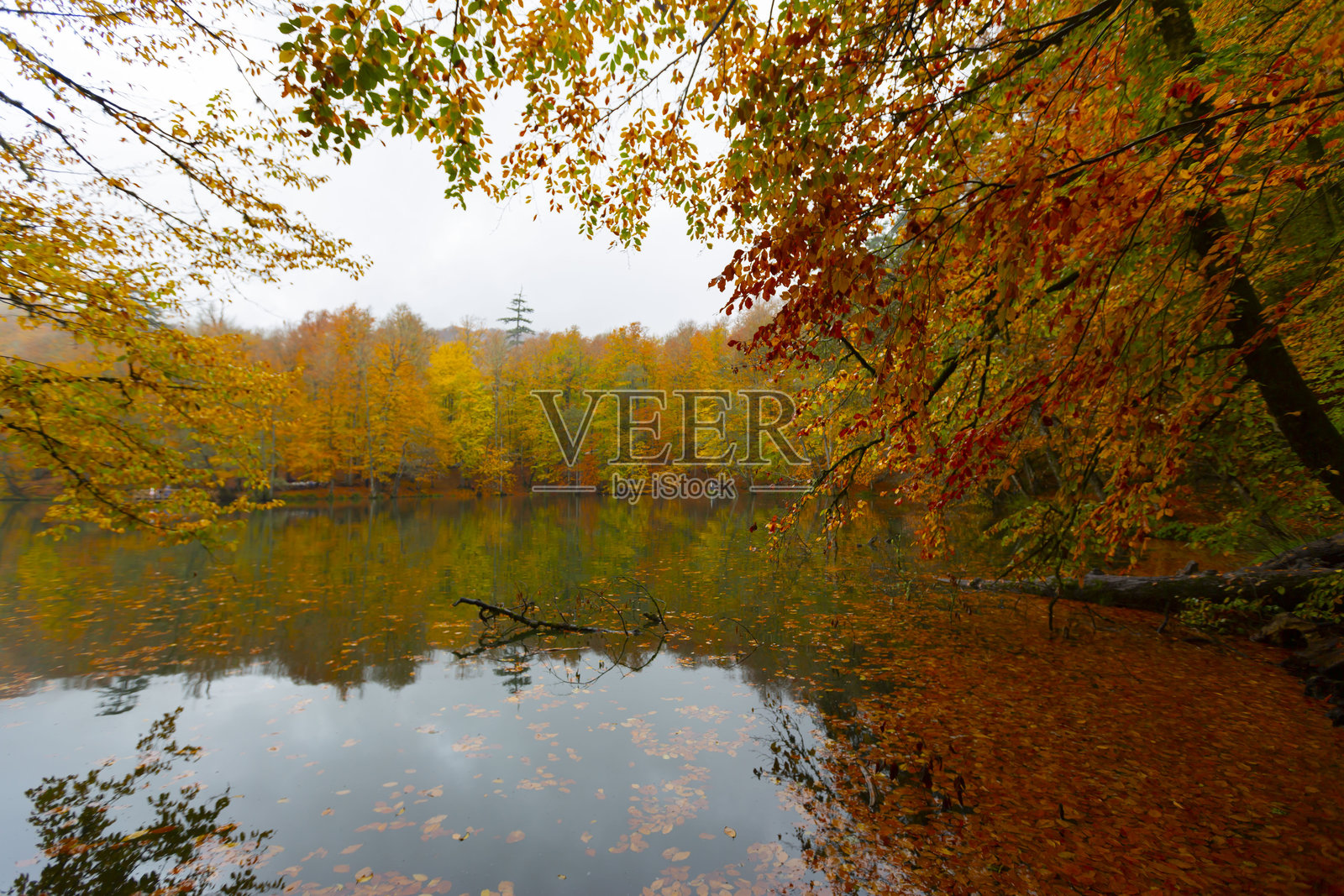 七湖国家公园自然栖息地照片摄影图片