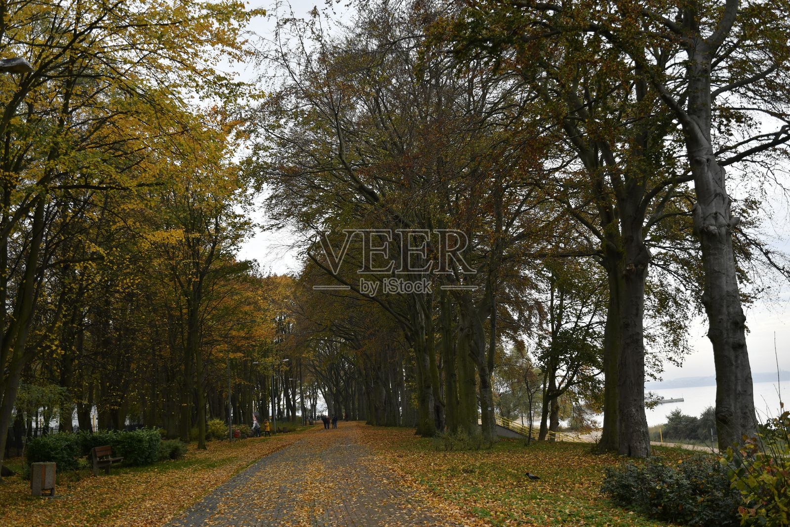 水边的秋季小径照片摄影图片