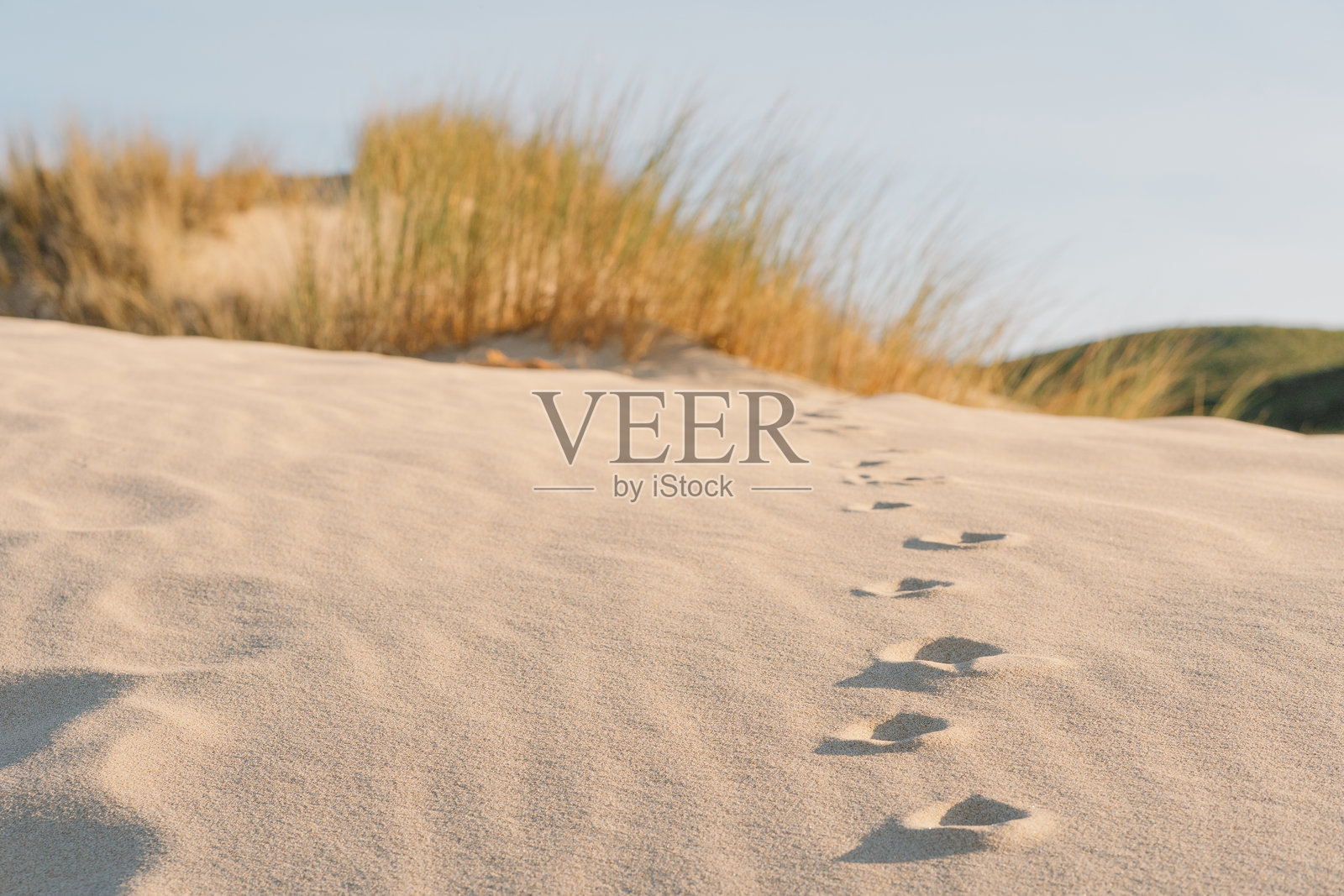 沙丘上的脚印在晴朗的蓝天下照片摄影图片