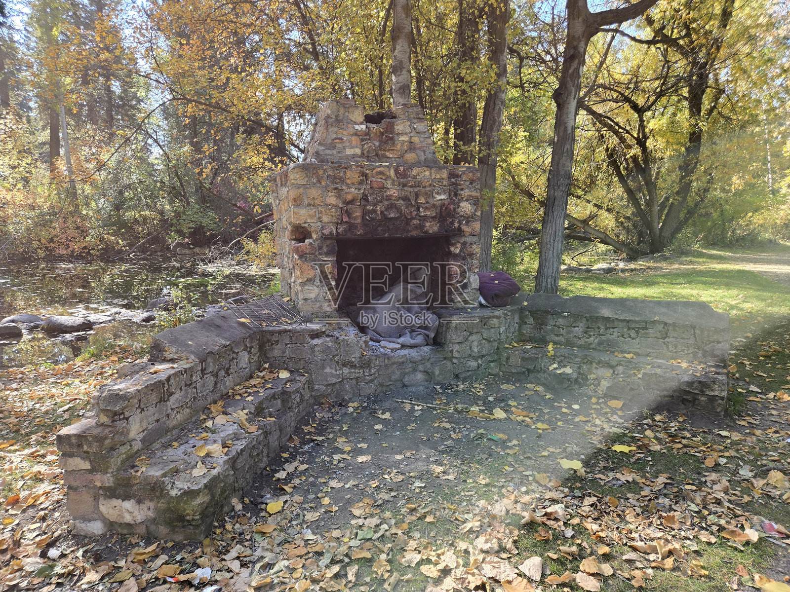 蒙大拿州卡利斯佩尔的森林公园照片摄影图片