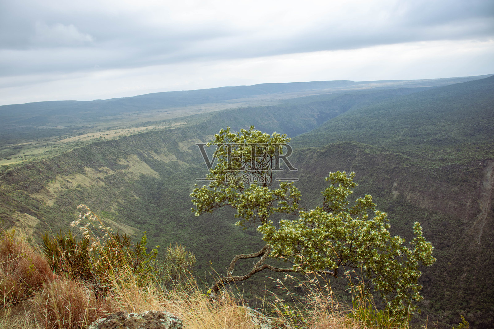 从山顶俯瞰山谷的景色照片摄影图片