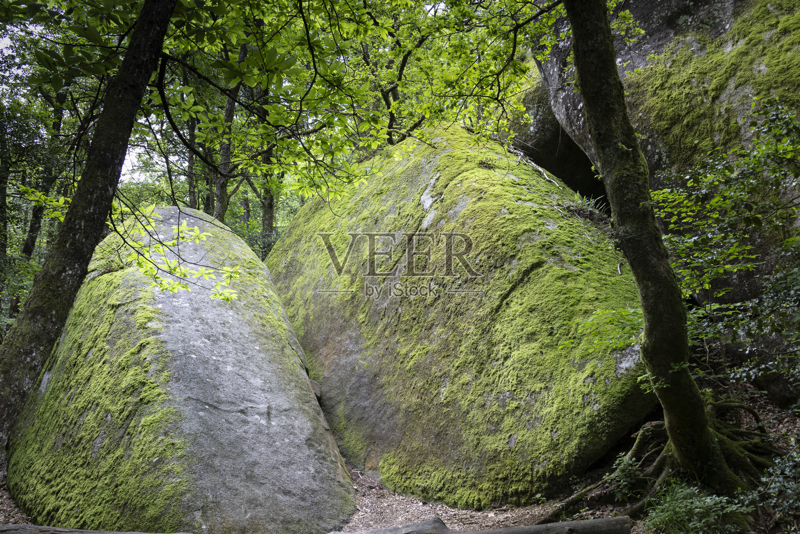 位于法国奥克西塔尼大区塔恩省拉克鲁泽特村旁的壮观岩石。照片摄影图片