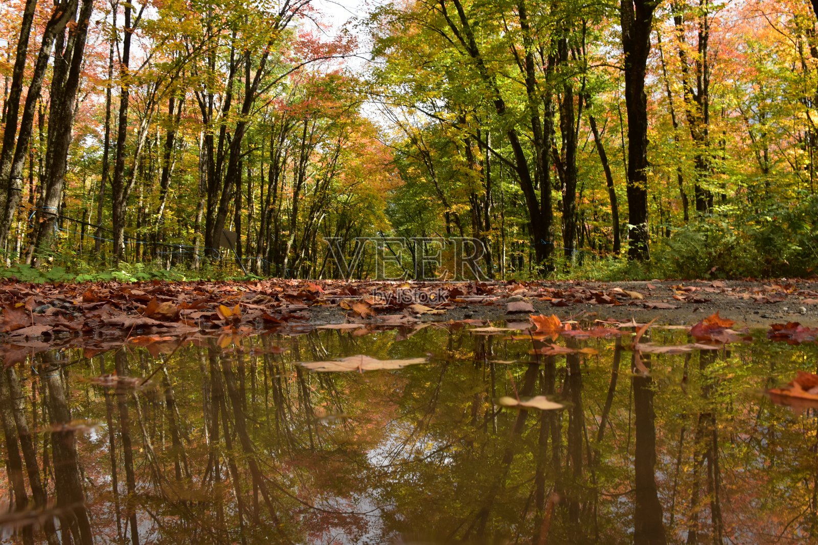 秋天的倒影照片摄影图片