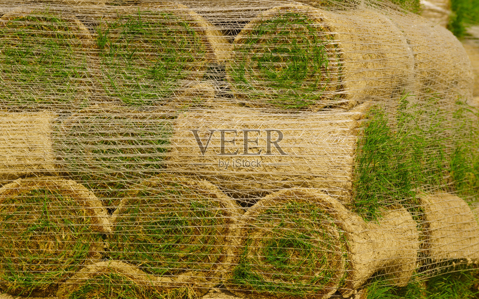 新草坪的草卷堆叠照片摄影图片