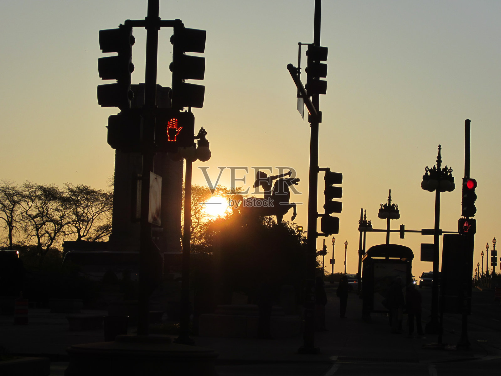 2012年芝加哥格兰特公园的清晨照片摄影图片