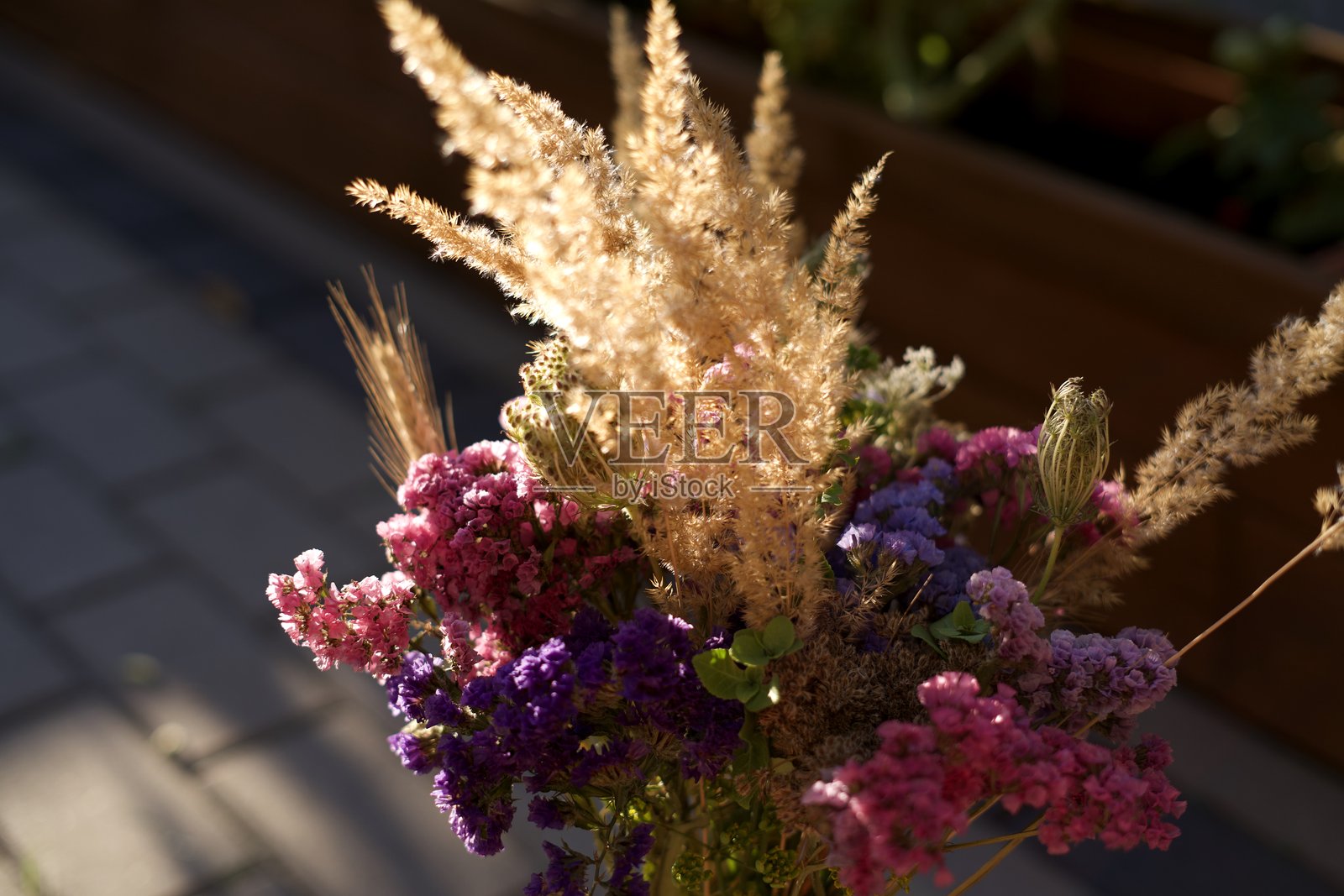 花朵照片摄影图片