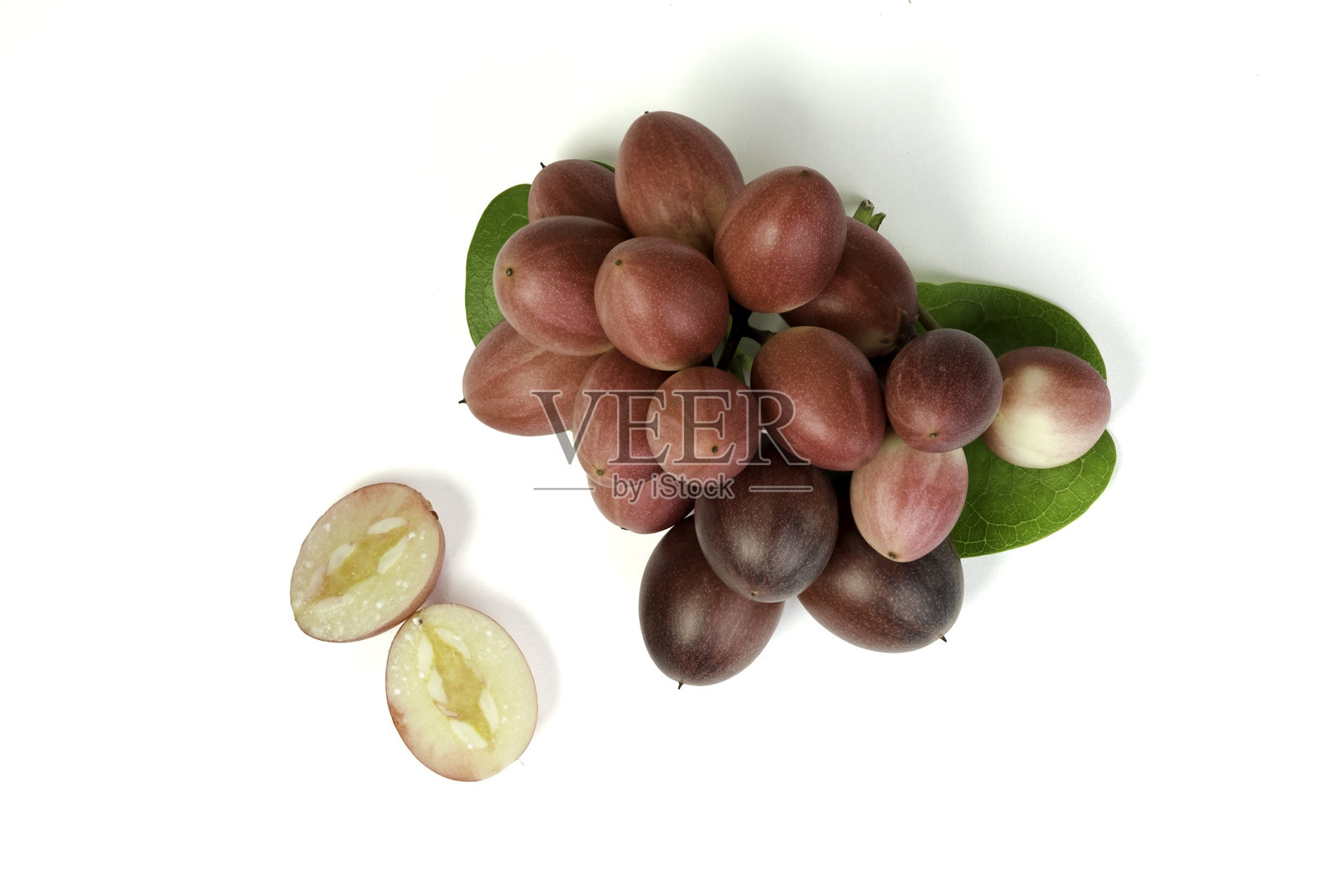 孟加拉酸果是一种属于夹竹桃科的开花灌木。它结出类似浆果的果实，常用于印度的腌制品和香料中。照片摄影图片