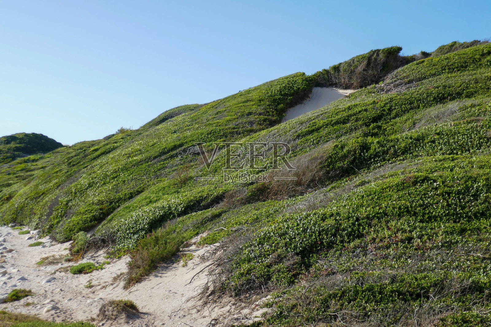 南非圣弗朗西斯湾照片摄影图片