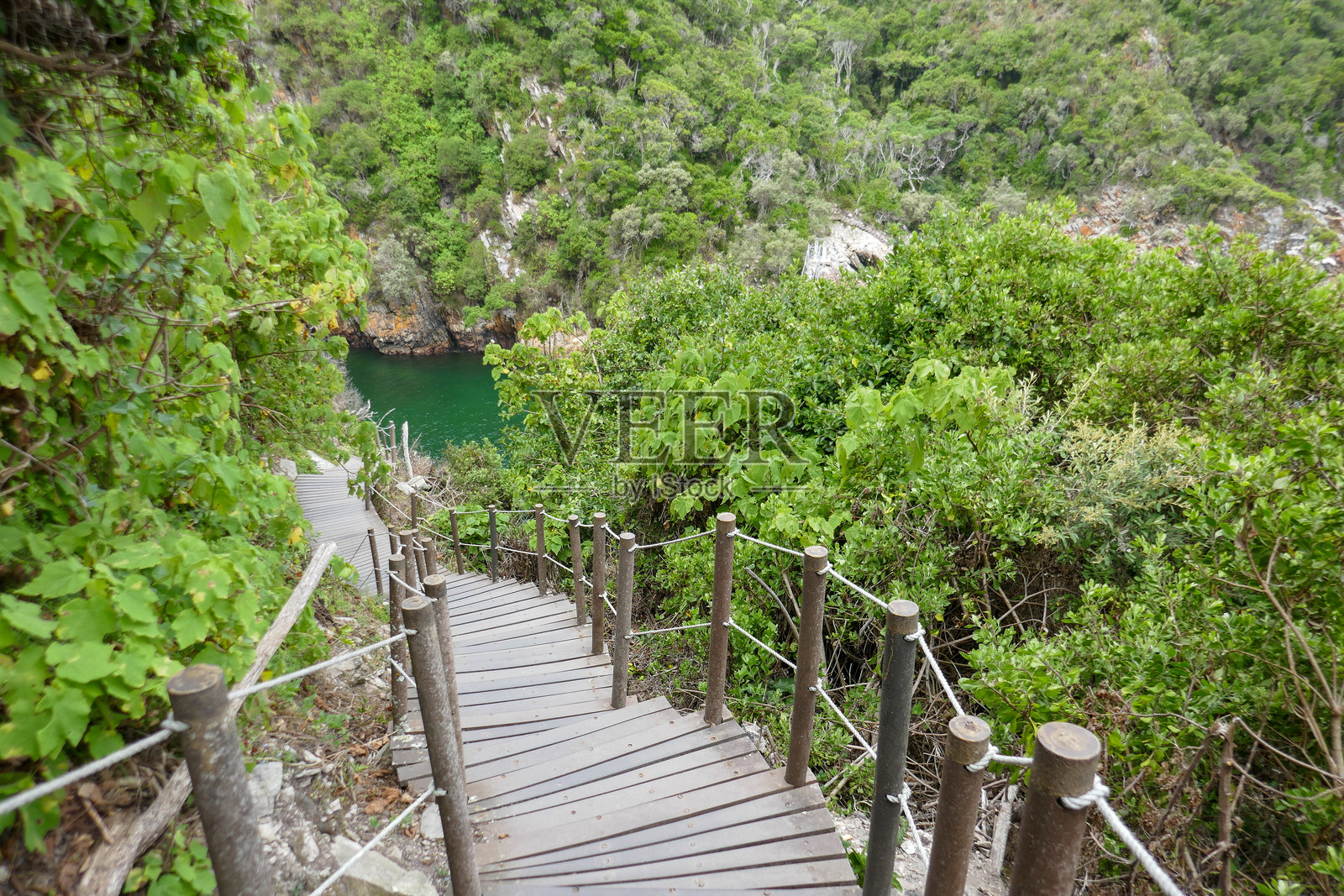 南非齐齐卡马国家公园照片摄影图片