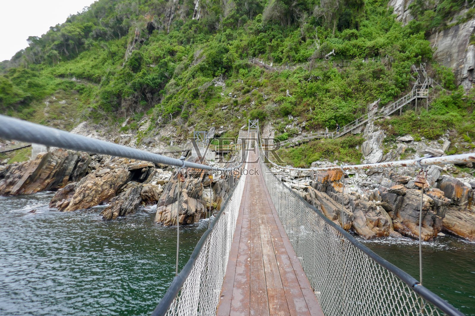 南非齐齐卡马国家公园照片摄影图片
