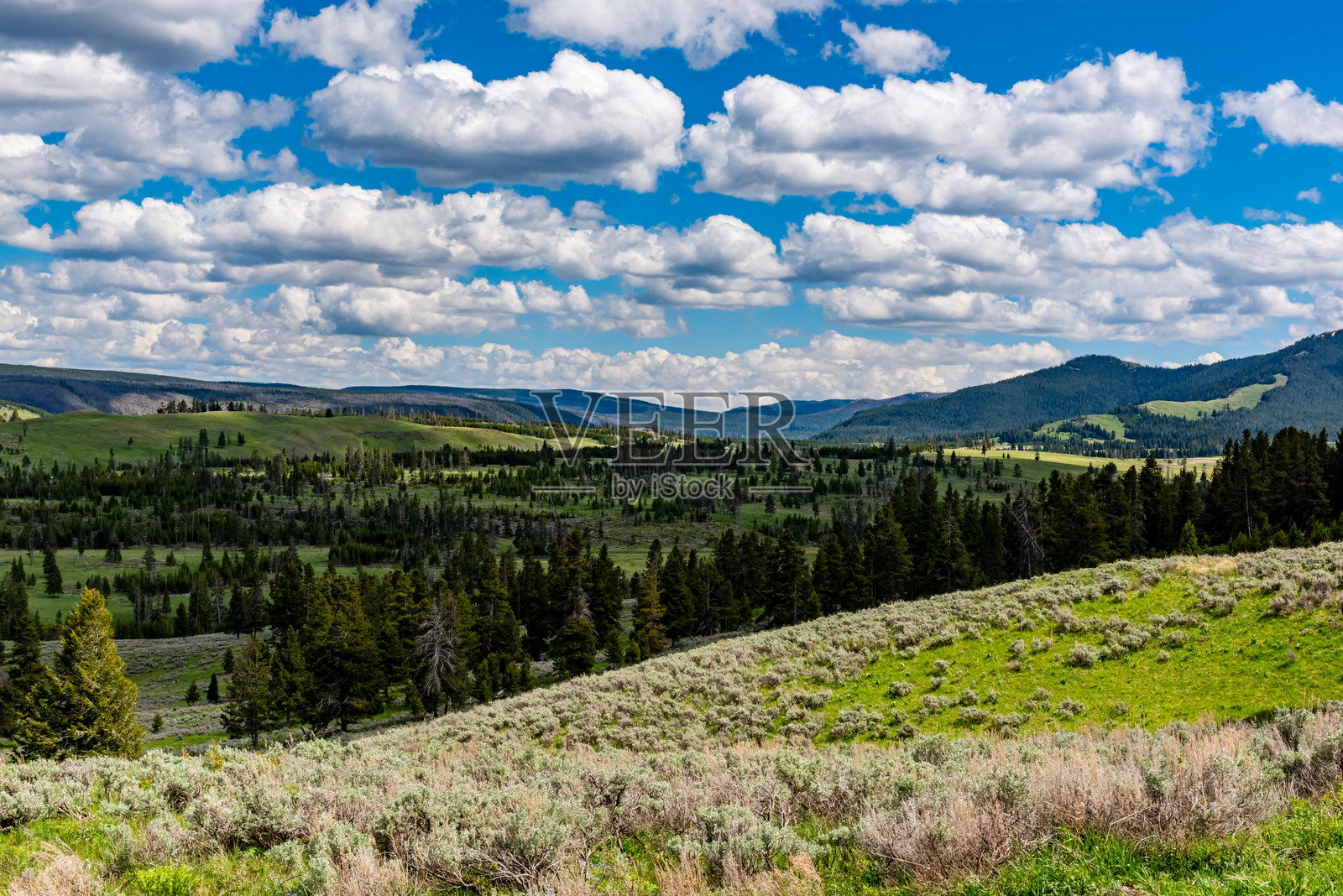 黄石国家公园的格兰德环路景观，沃什本温泉观景点，怀俄明州，美国。照片摄影图片