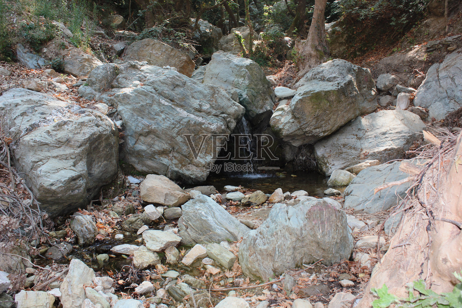 半人马的道路（在丹尼尔飓风之后）希腊佩利翁波尔塔里亚照片摄影图片