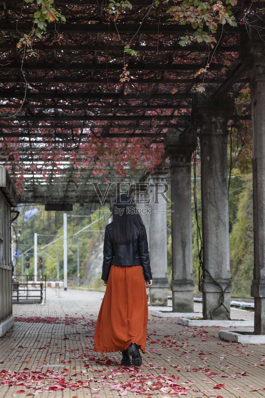 拥抱自然：一位年轻女性在红叶中照片摄影图片