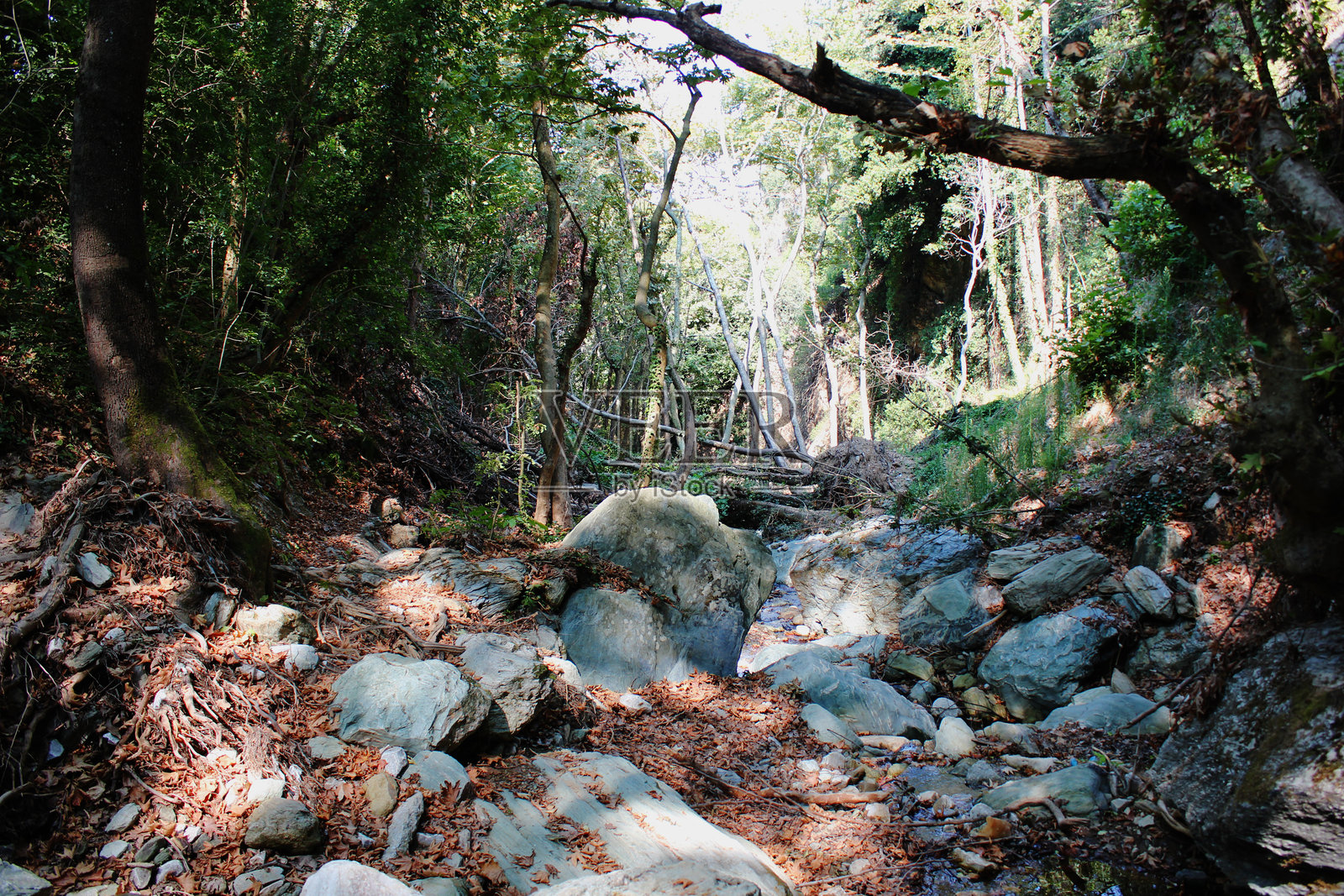 半人马的路径（在丹尼尔飓风之后）希腊佩利翁波尔塔里亚照片摄影图片