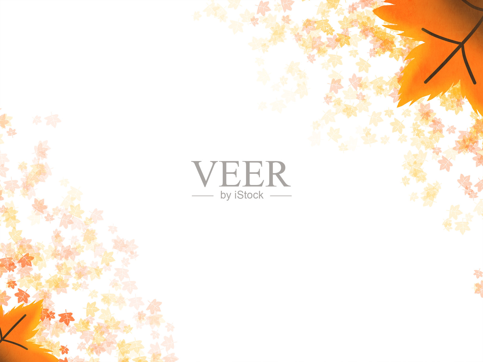 空白的秋季风景背景，枫叶从角落飘落，展现自然色彩，留有白色空白区域。照片摄影图片