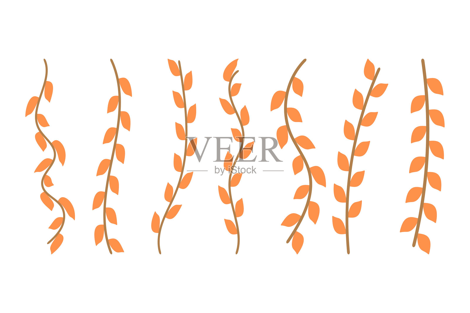 花藤图标集。植物装饰矢量图插画图片素材