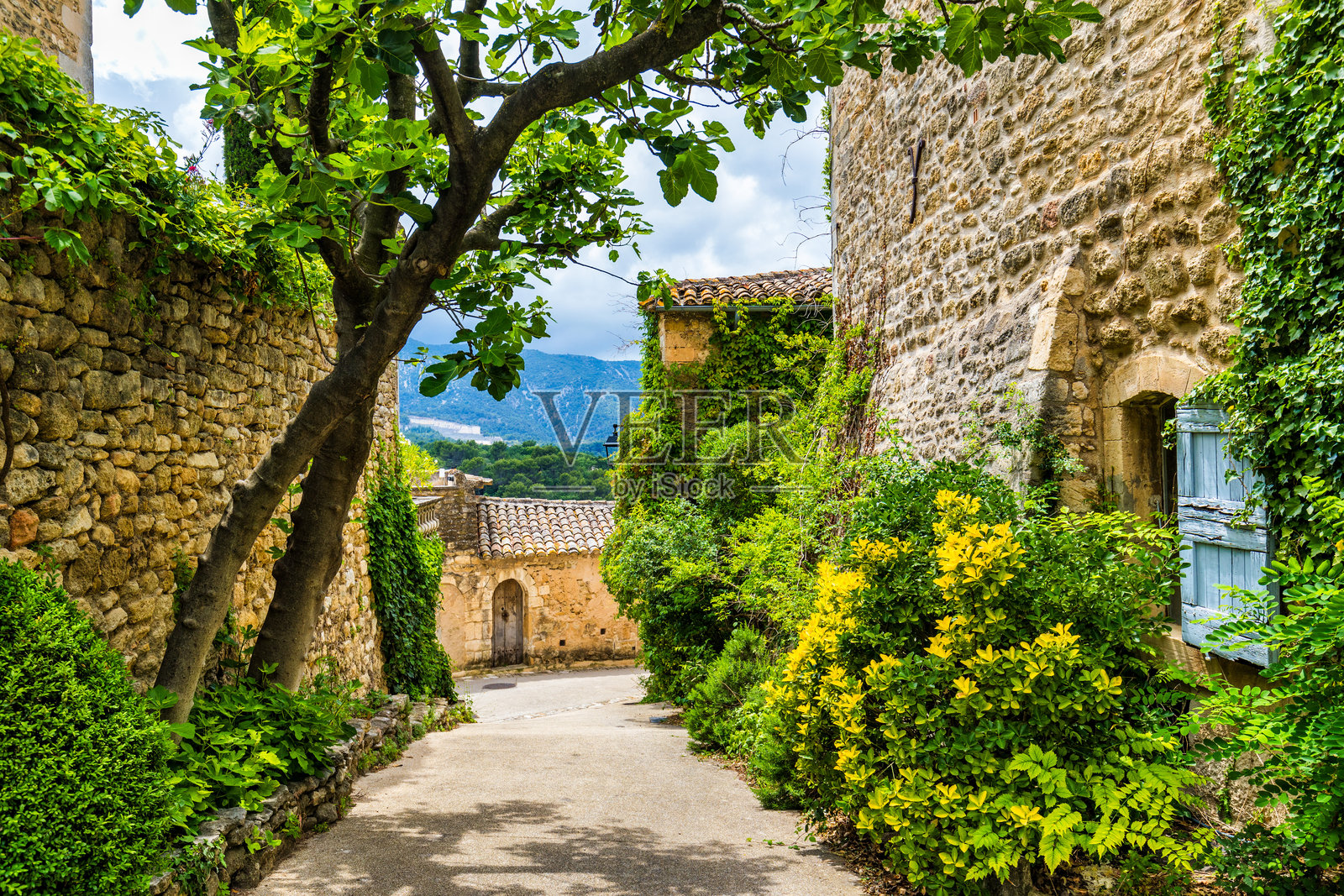 迷人的街道位于迷人的梅内尔布村，色彩斑斓的建筑和生机勃勃的花朵。梅内尔布村（法国最美丽的村庄）位于法国吕贝隆山脉，沃克吕兹省。照片摄影图片
