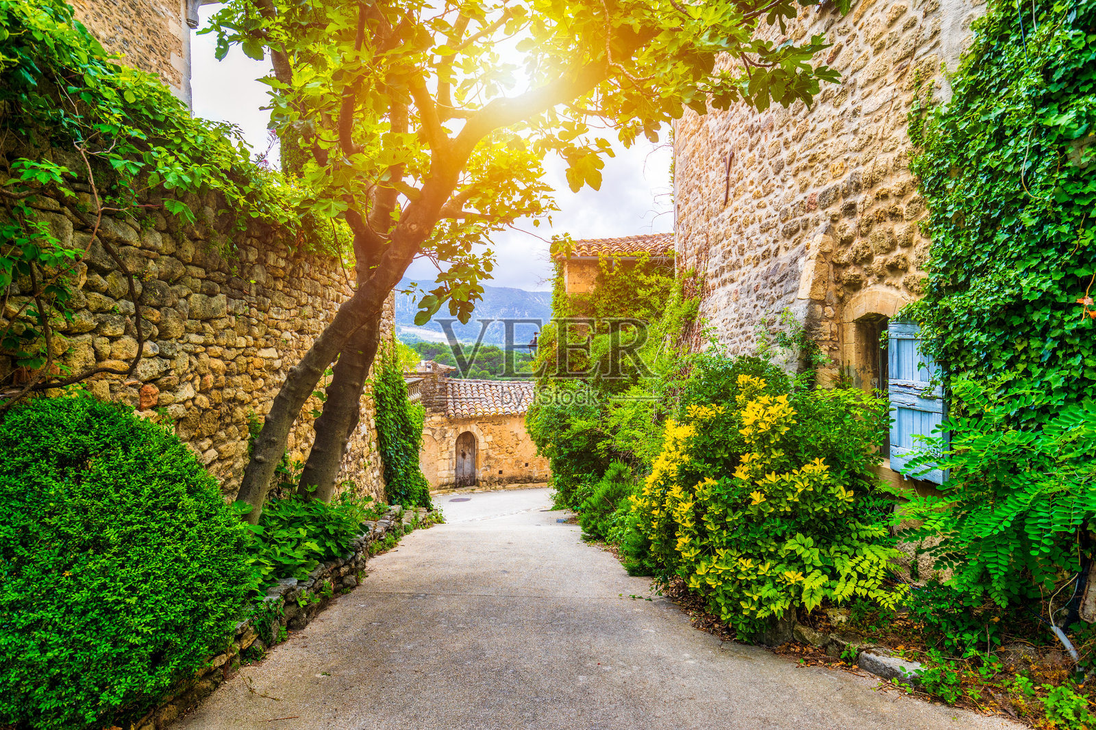 普罗旺斯的梅内尔布村，夏日的法国吕贝隆，沃克吕兹。梅内尔布村被称为吕贝隆最美丽的村庄，坐落于吕贝隆山脉之中。照片摄影图片