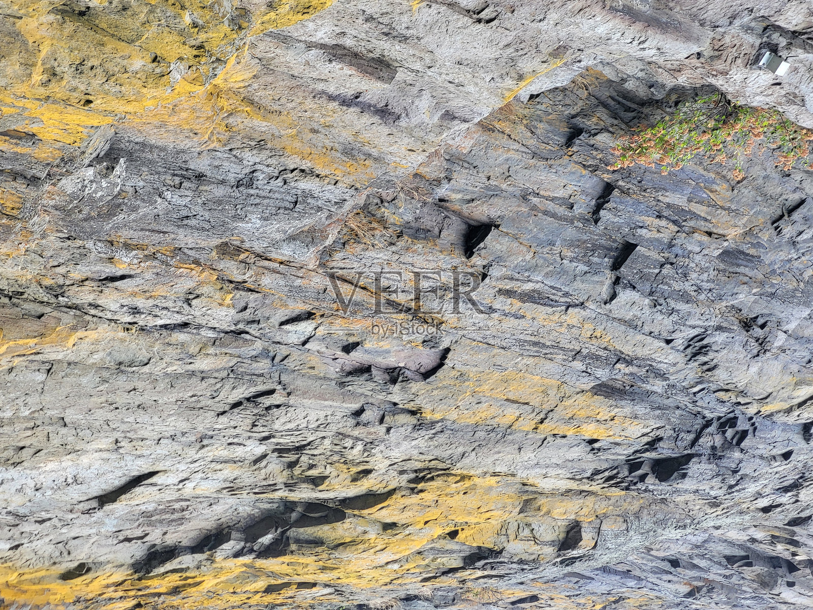 温哥华斯坦利公园海堤岩石背景。照片摄影图片