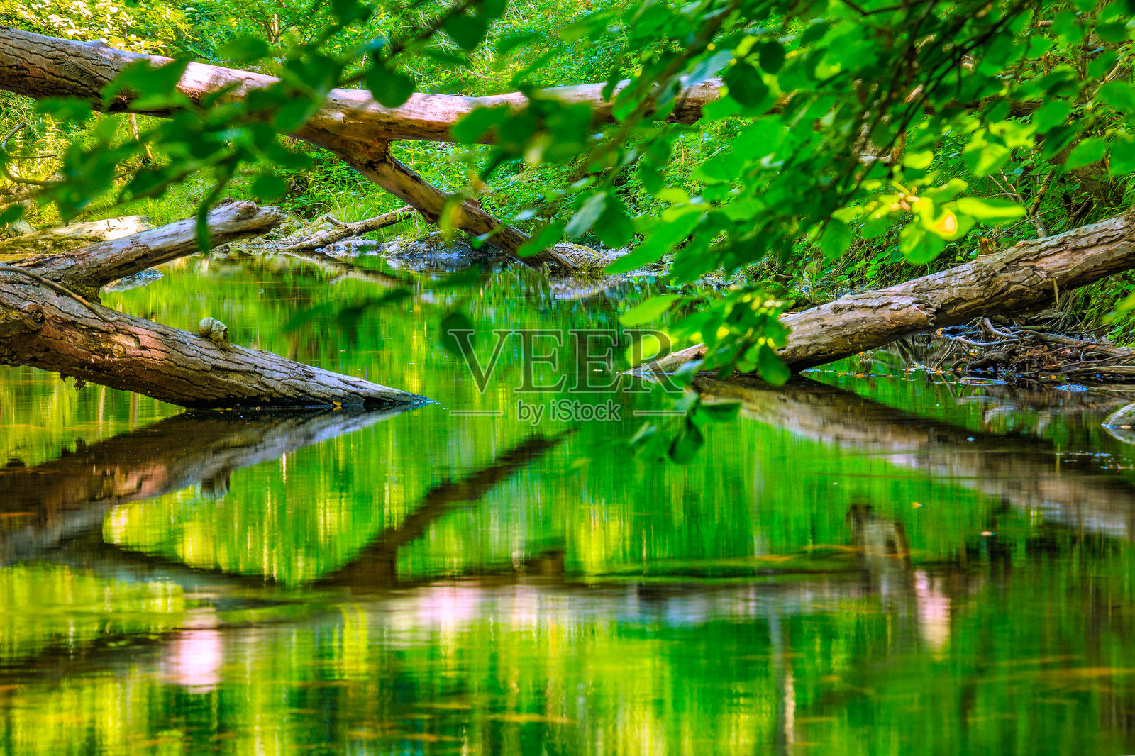 法国奥尔比厄河照片摄影图片