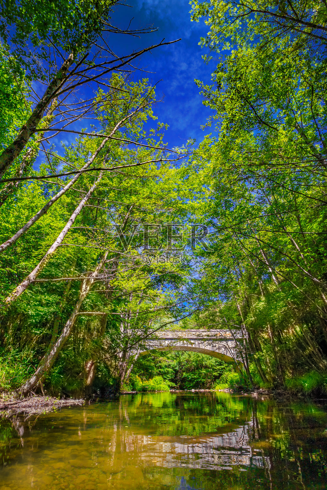 法国奥尔比厄河照片摄影图片