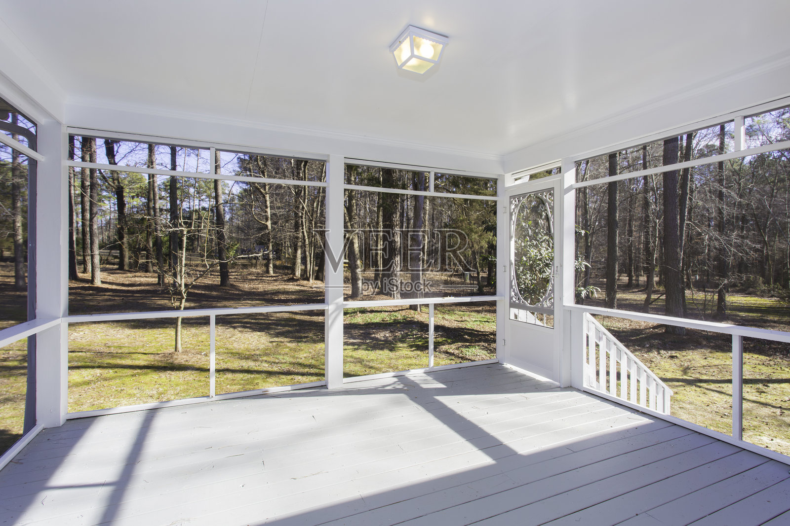 宽敞的阳光明媚的门廊俯瞰宁静的森林景色照片摄影图片