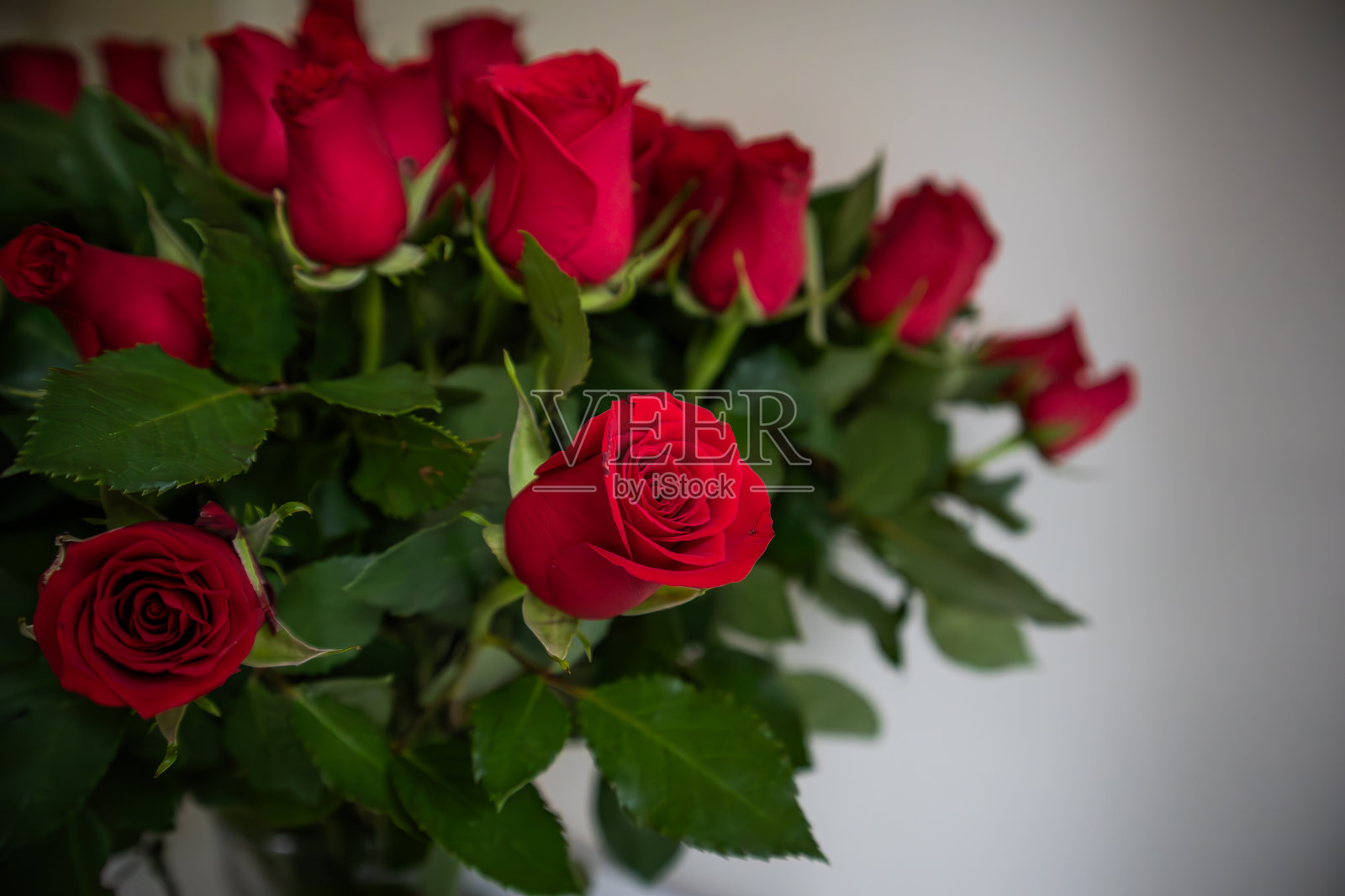 红玫瑰花束照片摄影图片