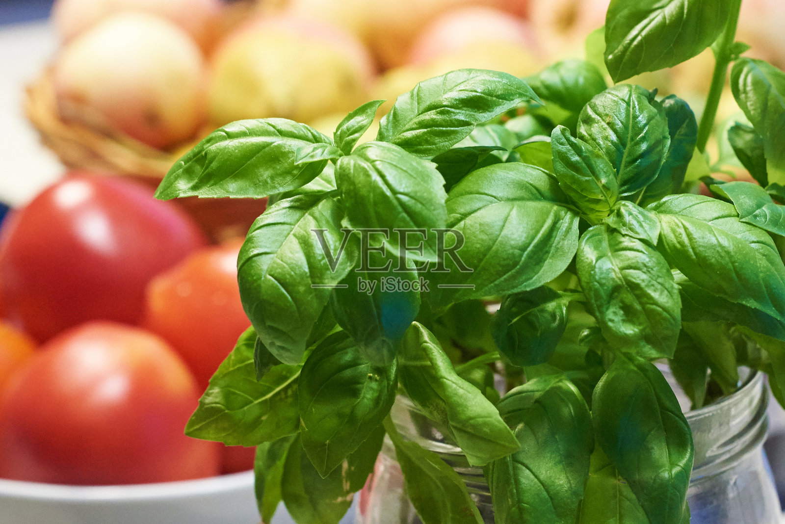 新鲜的绿色罗勒叶在模糊背景上。照片摄影图片