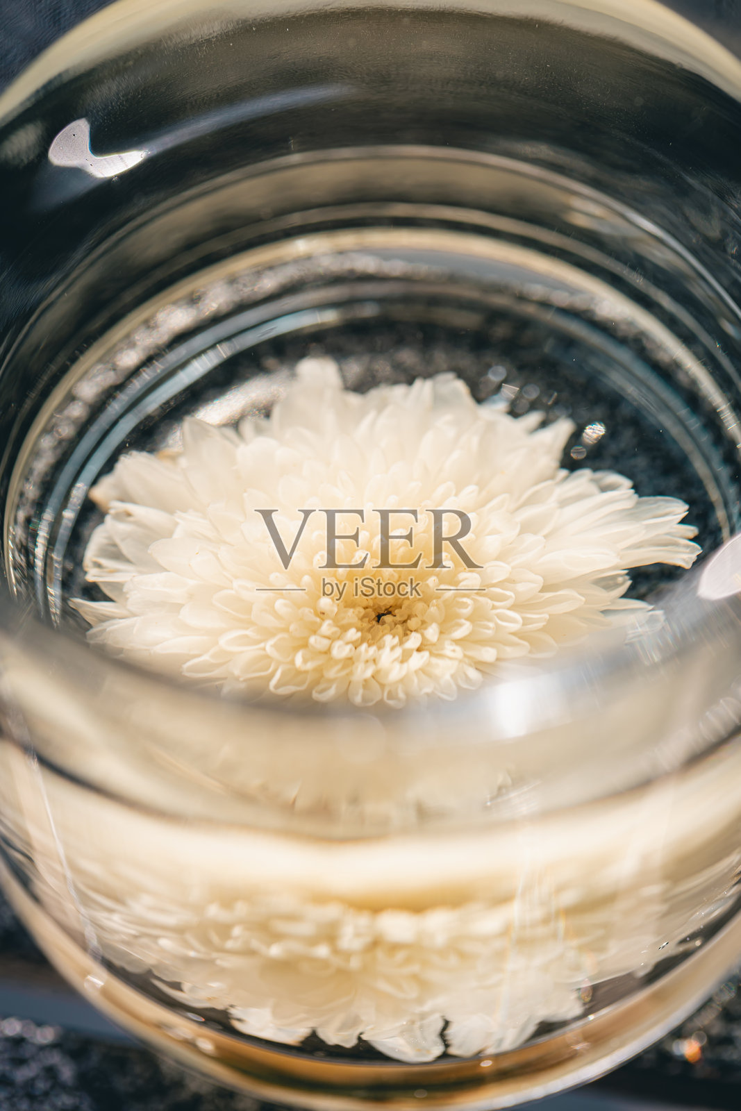 玻璃杯中的干菊花茶照片摄影图片