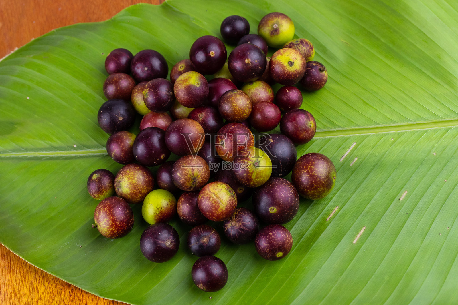 卡姆卡姆，亚马逊水果，在秘鲁和世界各地消费照片摄影图片