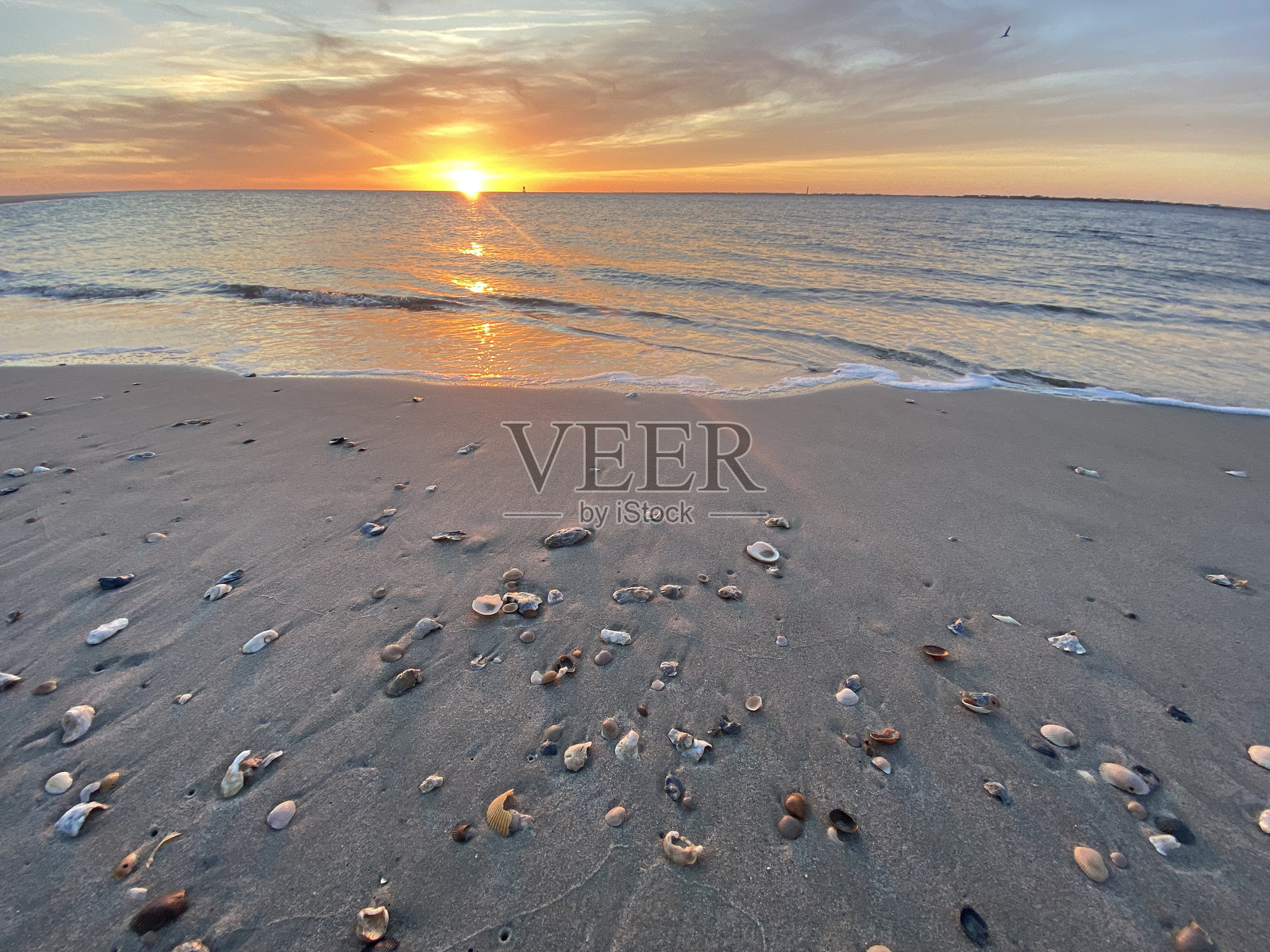 海贝沙滩日落照片摄影图片