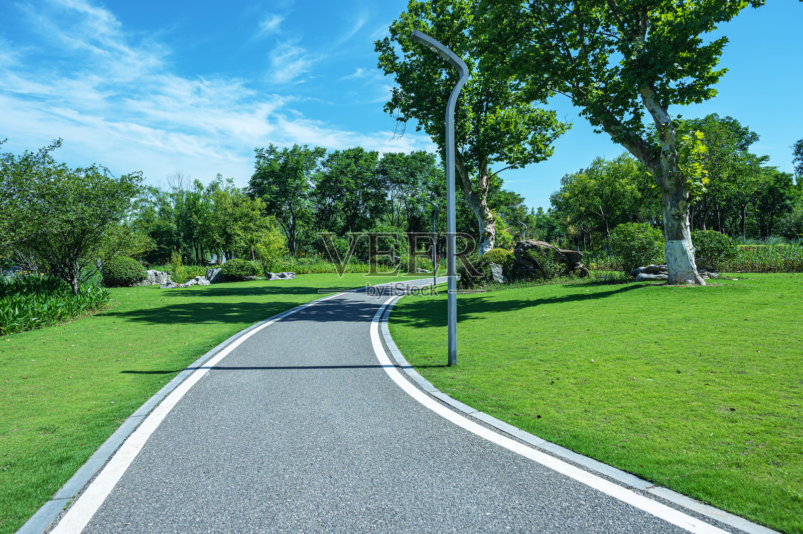 乡村自然公园中的弯曲小径和绿色树林照片摄影图片