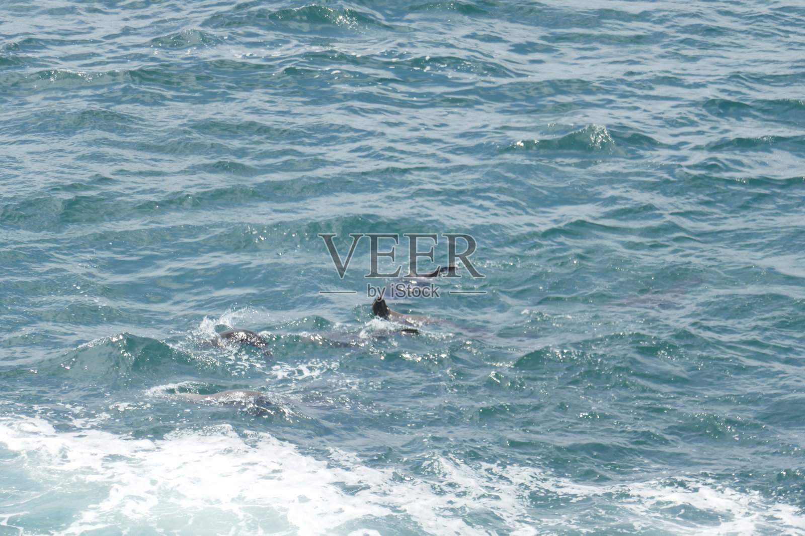 罗伯格自然保护区，南非照片摄影图片