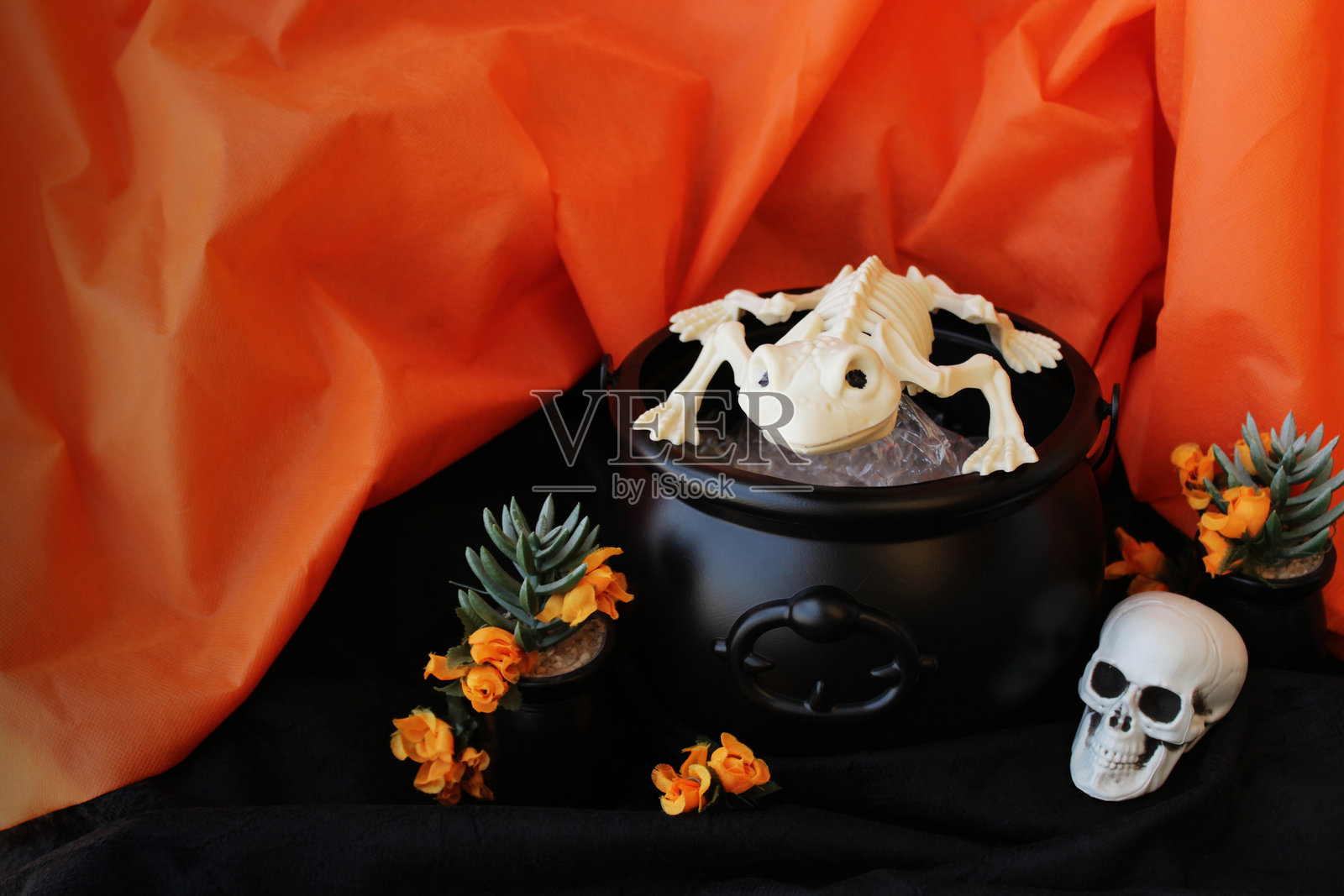 青蛙骨架从女巫的锅中逃脱。照片摄影图片