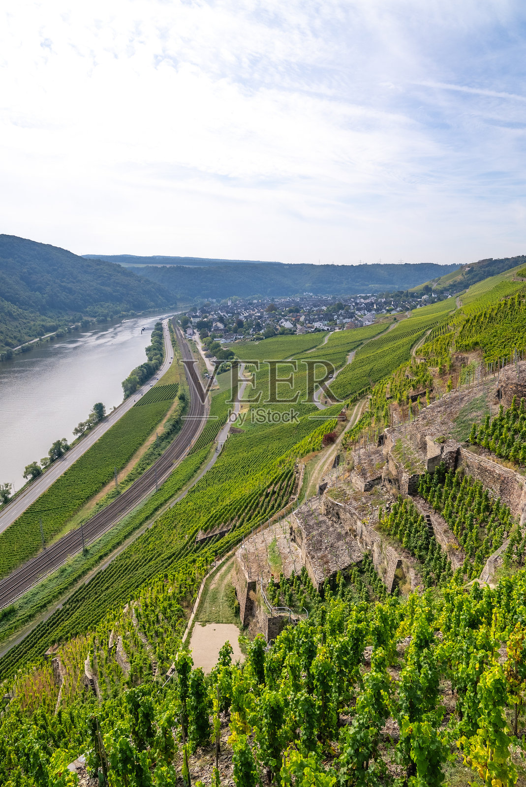 德国温宁根镇附近的莱茵河谷山坡上风景如画的葡萄园照片摄影图片