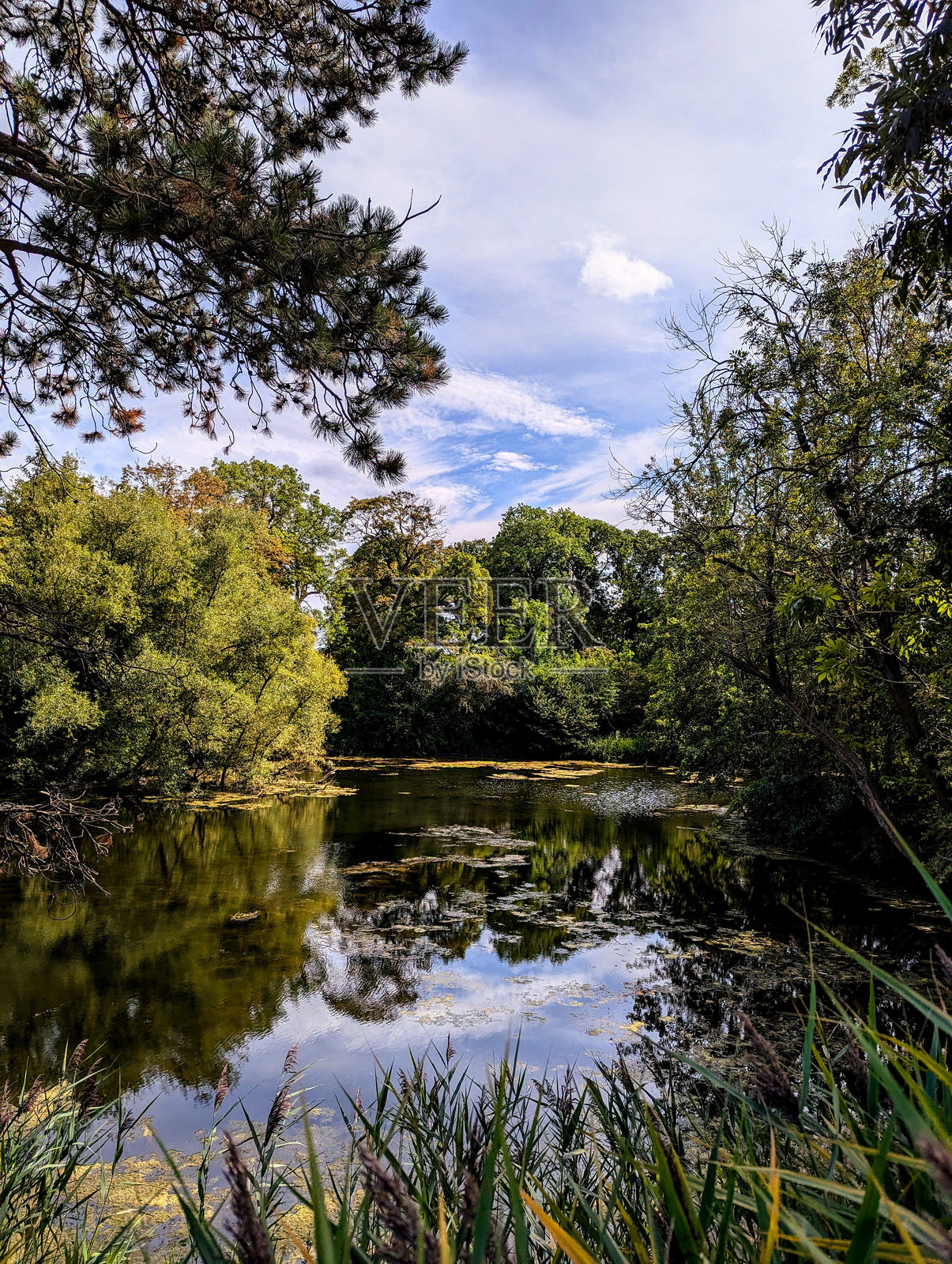美丽的隐秘湖泊照片摄影图片